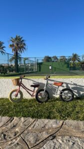 flota-de-bicicletas-para-hoteles-8