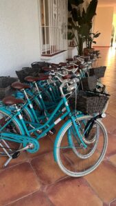 flota-de-bicicletas-para-hoteles-4